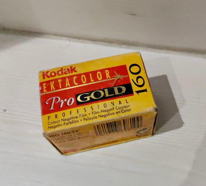 Kodak Ektacolor Pro Gold 160